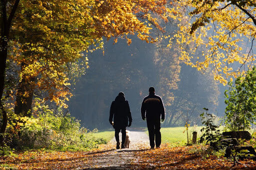 Board Games and your Mental Health